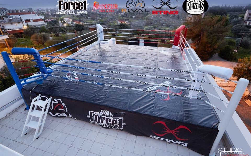kick box ioannidis team
