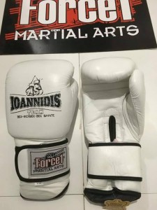 kick box kallithea ioannidis team