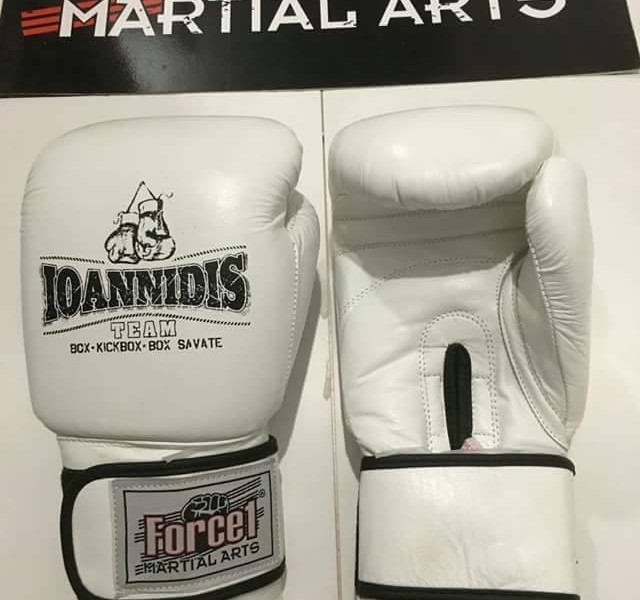 kick box kallithea ioannidis team