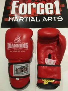 kick box kallithea ioannidis team